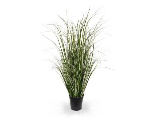 Botanic-Haus Schilfgras, Grn-Crme, 80cm H:80 xD:35cm, H:12 cm, D:13 cm, PVC