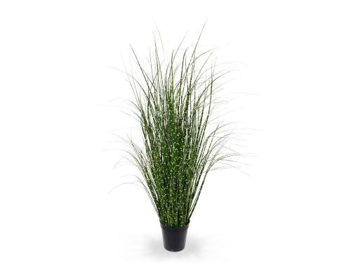 Botanic-Haus Zebragras, Grn-Gelb, 80 cm H:80 xD:35 cm, H:12 cm, D:13 cm, PVC