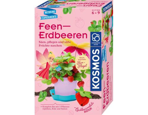 Feen-Erdbeeren Mitbring-Experimente