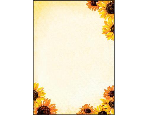 Sigel Motiv-Papier Field of Sun A4 Feinpapier (Ink/Laser/Copy), 90g, 50 Blatt