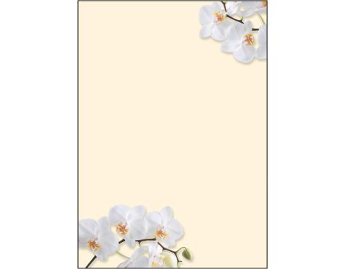 Sigel Motiv-Papier White Orchid A4 Feinpapier (Ink/Laser/Copy), 90g, 50 Blatt