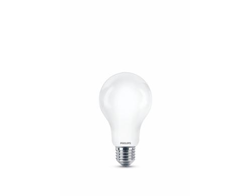 Philips LED Lampe 17.5W (150W) E27, A67, 2500lm, 2700K, matt