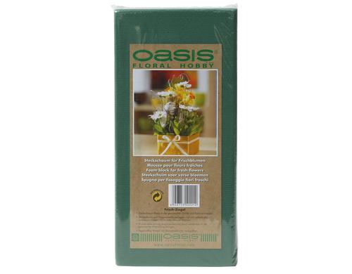 Oasis Steckschaum fr Frischblumen 23 x 11 x 8 cm