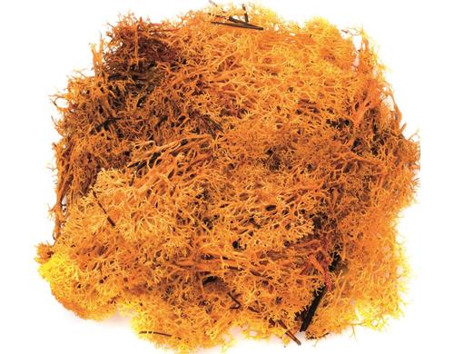 Glorex Islandmoos 50g Orange