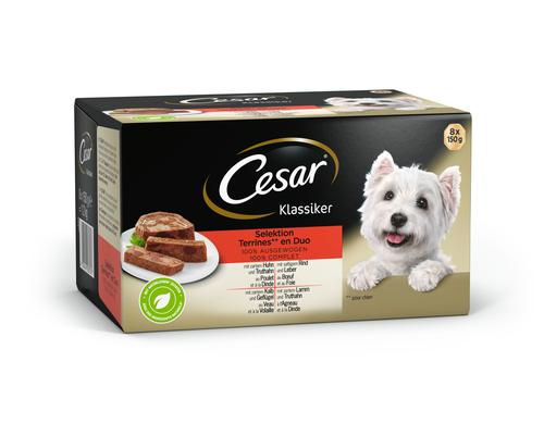 Cesar Klassiker in Terrine 6x 150g