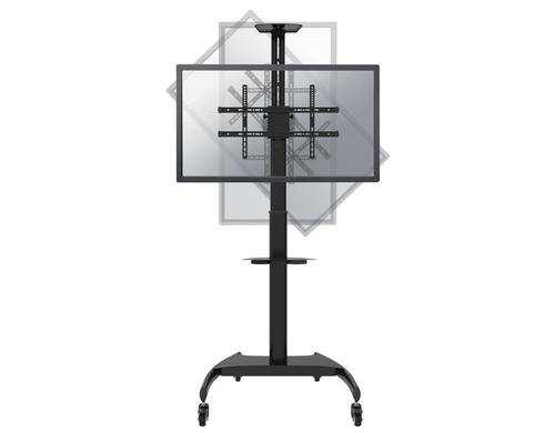 NewStar PLASMA-M1900E Floor Stand - (height: 130-162 cm)