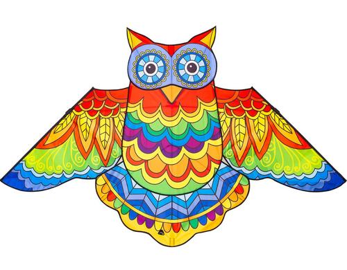 Drachen Jazzy Owl Kite 145x85 cm, ab 5 Jahren,