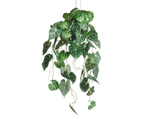 Botanic-Haus Anthurium hngend Kunststoff, 87x37 cm (HxB)