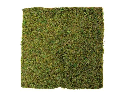 Dekomat Moosplatte 30x30 cm Naturmoss auf Papierunterlage