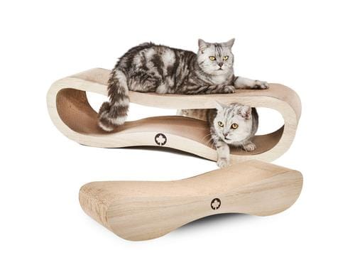 CanadianCat Set Orbit & Satellite natur