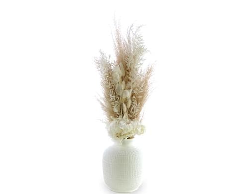 Soli Collection Trockenblumen Strauss All White , L: 65cm