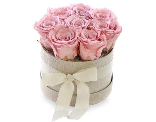 Soli Collection Rosenbox Rosa Durchmesser 14cm, Hhe 16cm