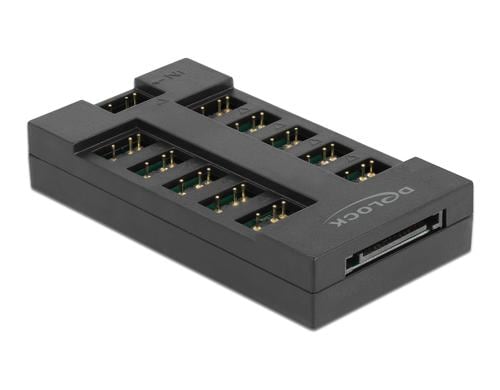 Delock RGB Hub fr ARGB LEDs mit 10 Ports