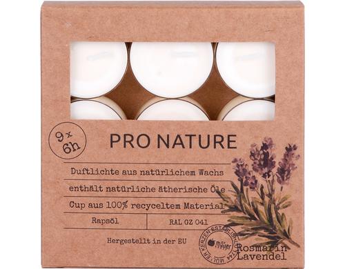 Mller Teelichter Duft Rosmarin & Lavendel 9er Set, aus raps,  2.4x3.8 cm