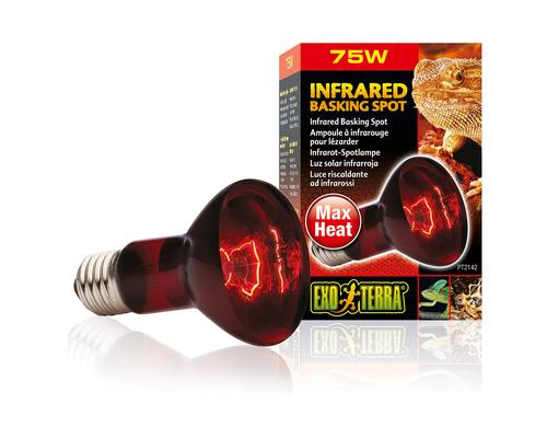 Exo Terra Infrared Basking Spot R20 (75W/65mm)