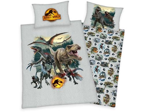 Klaus Herding Bettwscheset Jurassic World 160x210/65x100cm, 100% Baumwolle, RV