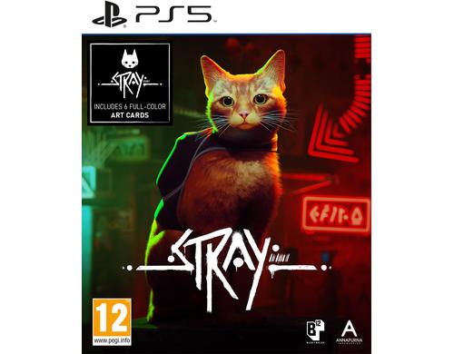 Stray, PS5 Alter: 12+