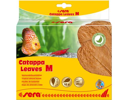 sera Catappa Leaves 10 Stk., 16-20 cm