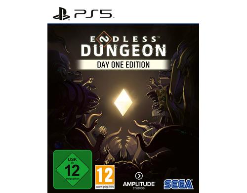 Endless Dungeon Day One Edition, PS5 Alter: 12+