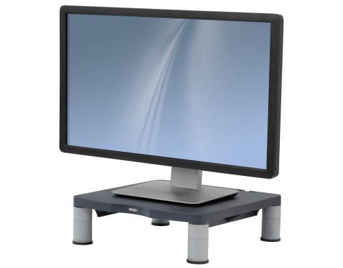 Fellowes Standard Monitor Stnder graphit