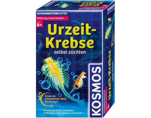 Urzeit-Krebse Alter: 7+