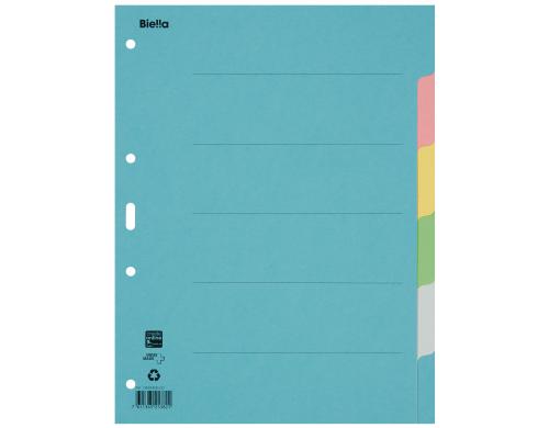 Biella Register Karton A4 6teilig, 4Loch blau,rosa,gelb,grn,grau, 1 Stck