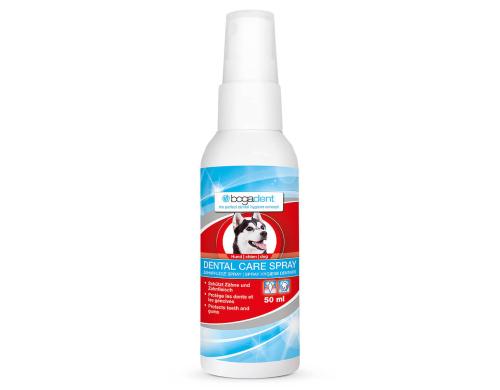 bogadent DENTAL CARE SPRAY 50ml