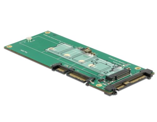 DeLock U.2 oder SATA zu M.2 Adapter U.2 fr NVMe M.2 SSD, SATA fr SATA M.2 SSD