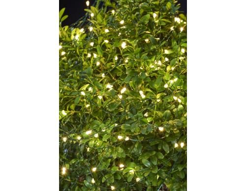 Sirius LED Lichterkette Knirke, 80 LED Outdoor, Kabel transparent, grn