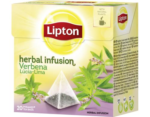 Lipton Teebeutel Eisenkraut 20 Teebeutel, Krutertee