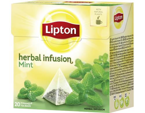 Lipton Teebeutel Minze 20 Teebeutel, Krutertee