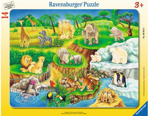 Zoobesuch Alter: 3+, 8-17 T. Rahmenpuzzles