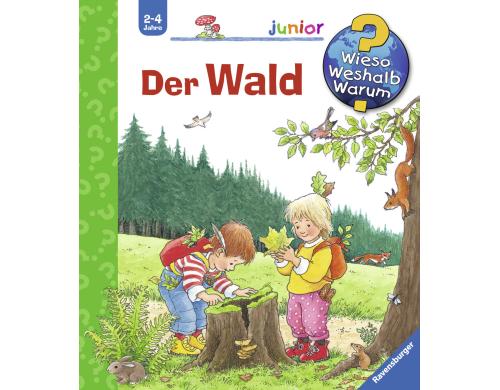 WWWjun6: Der Wald RAV Kinderbcher