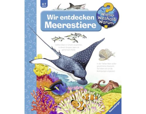 WWW27 Meerestiere RAV Kinderbcher