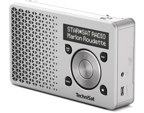 Technisat DigitRadio 1, DAB+ RAdio Silber, Akku bis 10h