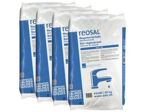 Reosal Regeneriersalz fein KIT 4 x 25 kg