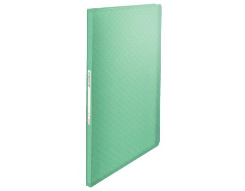 Esselte Colour'ICE Sichtbuch A4 60 Blatt grn