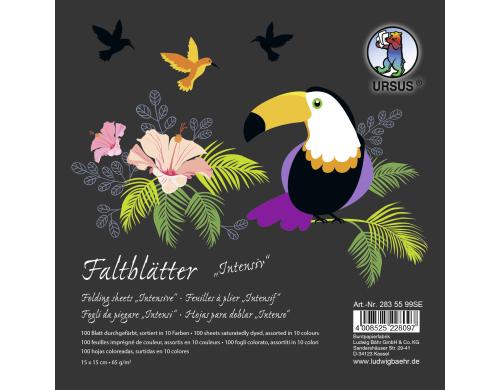 URSUS Faltbltter 65 g/m2, 15 x 15 cm 100 Blatt, 10 Farben