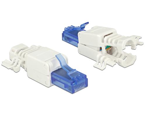 Delock RJ45 Stecker, UTP, Cat.6A, 2 Stck Fr Massiv- und Litzenleiter AWG 24-26