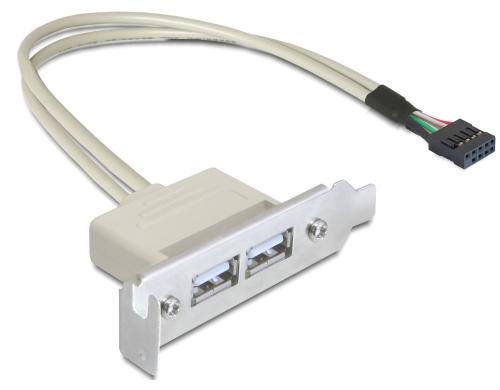 Delock Slotblech USB 2.0 Pin Header 1 x 9 Pin  intern > 2 x USB 2.0-A LP