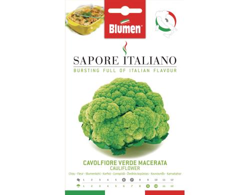 Blumen Blumenkohl Verde Macerata 1.5 g