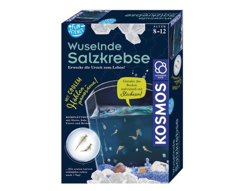 Wuselnde Salzkrebse Fun Science