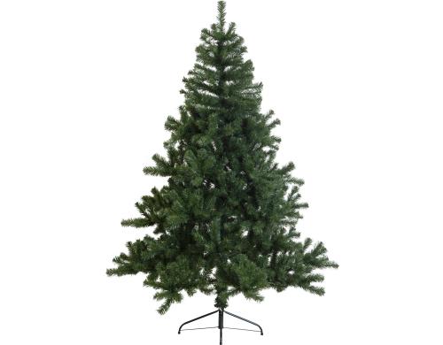 Star Trading Weihnachtsbaum 1.8m Quebec ohne LED, HxB: 1.8x1.3m