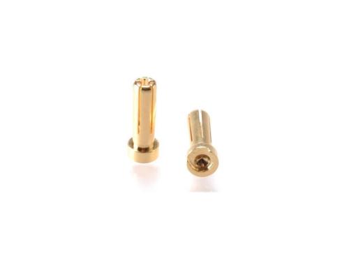 EP 90 5mm Goldstecker fr Hardcase-Pack 4 Stck