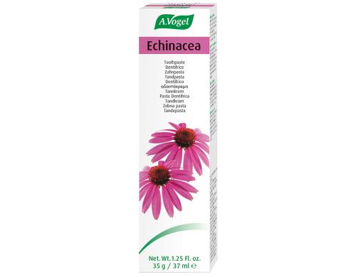 VOGEL Echinacea Zahnpasta 100 g