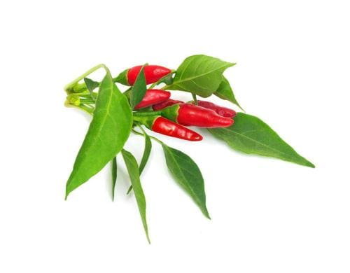 Click and Grow Smart Garden Plant Pod 3-pack, Piri Piri Chili